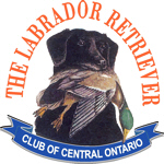 LRCCO logo