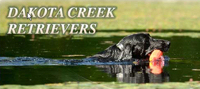 Dakota Creek Retrievers